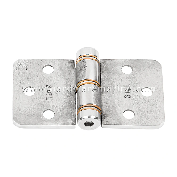 316 Stainless Steel Flush Mount Friction Hinge